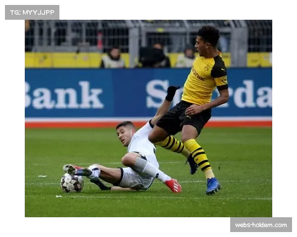 霍芬海姆2-1力克多特蒙德爆出冷门